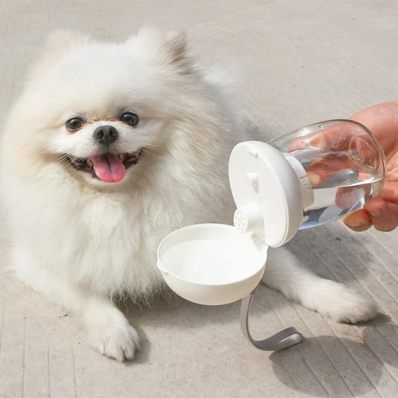 Foldable & Portable Outdoor Drinking Glass Pet Products